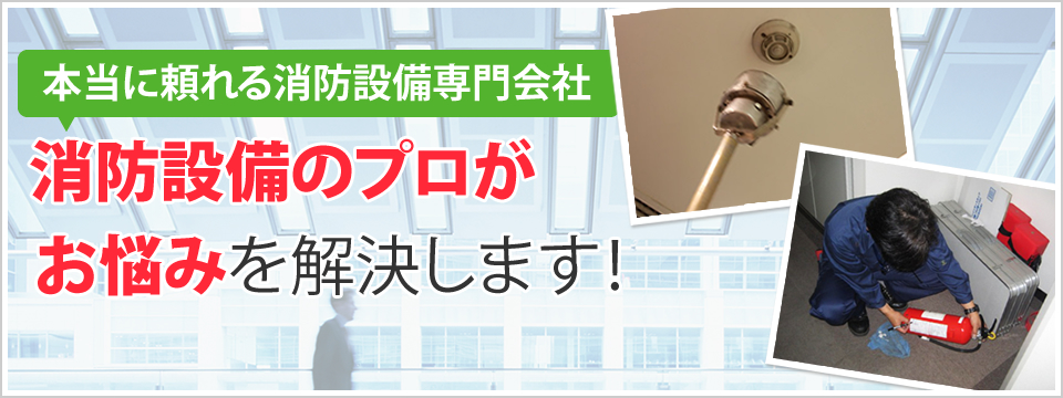 ���C���C���[�W